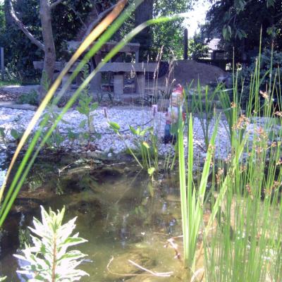Teich14